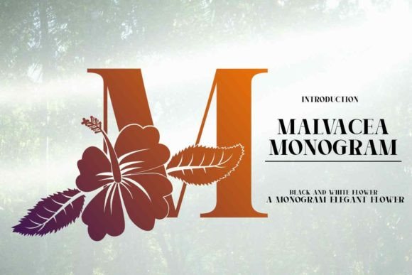 Malvacea: A Display Font for Crafting Unique Brand Identities